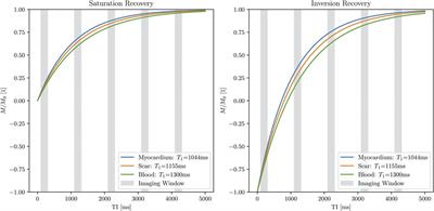 Motion-compensated T1 mapping in cardiovascular magnetic resonance imaging: a technical review